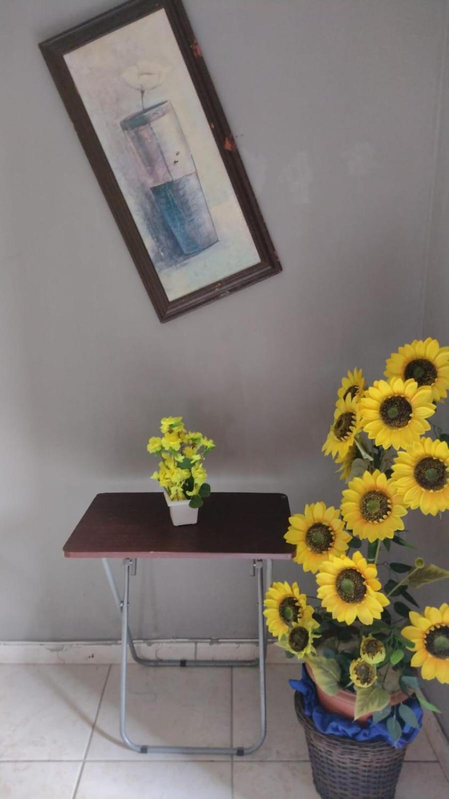 Olympios House Hostel 리오데자네이루 외부 사진